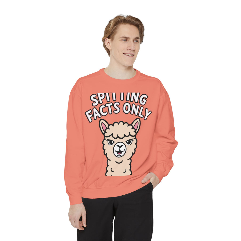 Alpaca Spitting Facts Sweatshirt, Funny Sassy Alpaca Crewneck, Cute Embroidered-Style Animal Sweatshirt, Alpaca Lover Gift