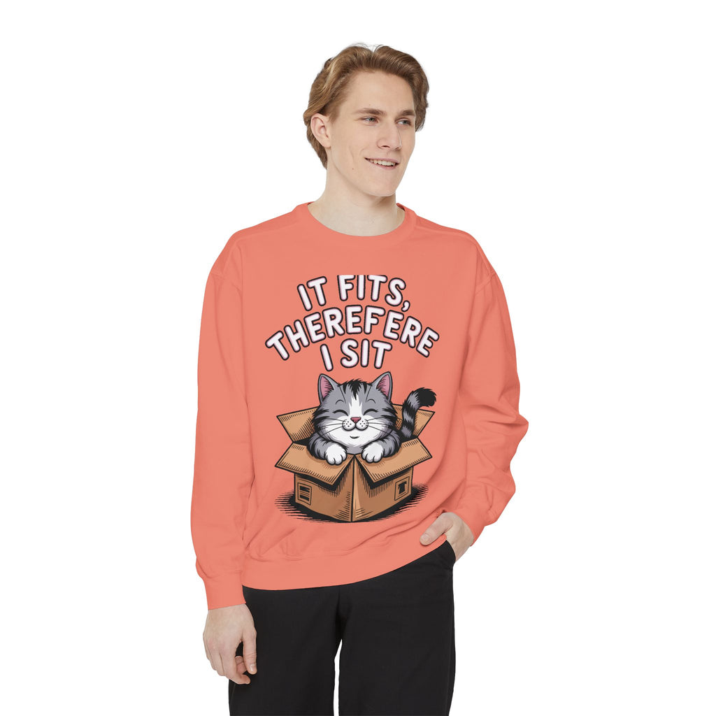 Funny Cat Sweatshirt, It Fits Therefore I Sit Crewneck, Cat In Box Embroidered Sweatshirt, Cat Lover Gift, Funny Cat Lover Sweater