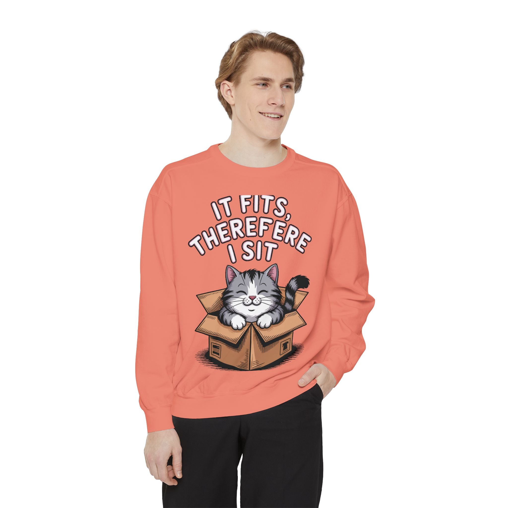 Funny Cat Sweatshirt, It Fits Therefore I Sit Crewneck, Cat In Box Embroidered Sweatshirt, Cat Lover Gift, Funny Cat Lover Sweater
