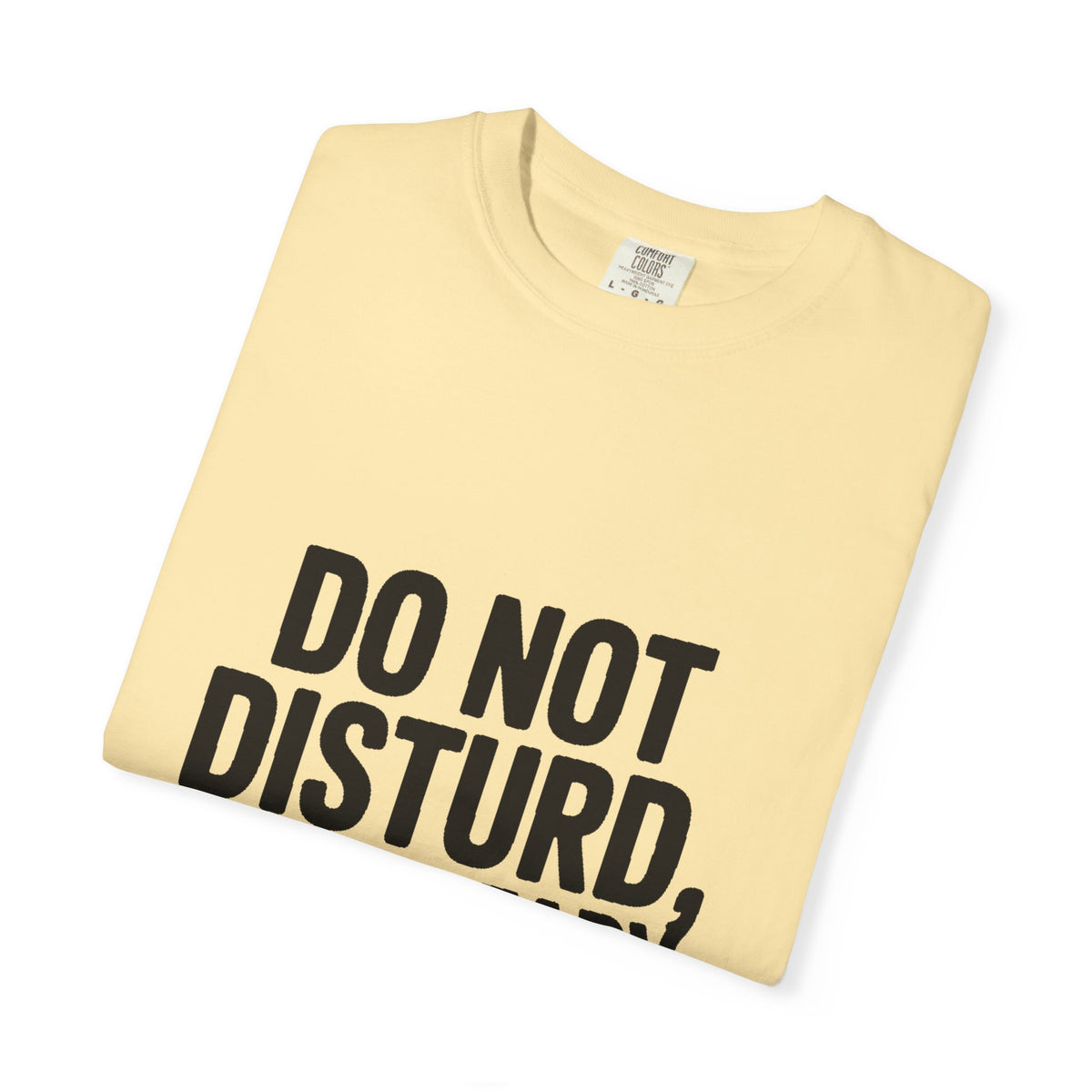 Do Not Disturb Already Disturbed Shirt, Funny Sarcastic T-Shirt, Introvert Humor Tee, Weird Mood Gift