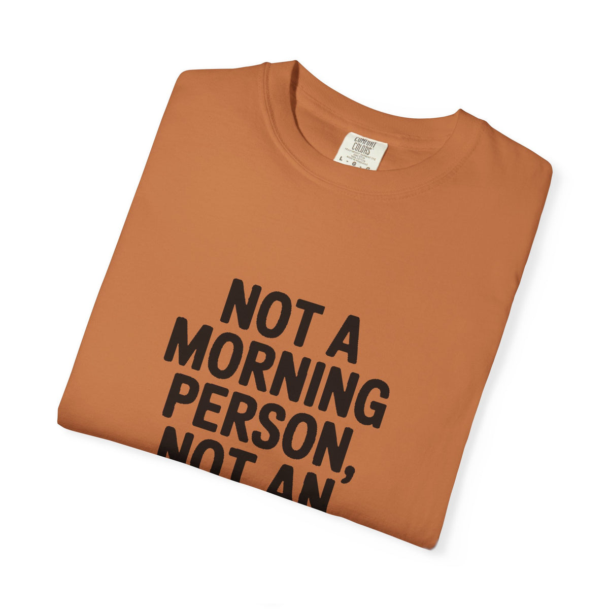 Not A Morning Person Shirt, Funny Sarcastic T-Shirt, Not An Afternoon Person Either Tee, Anti Social Gift