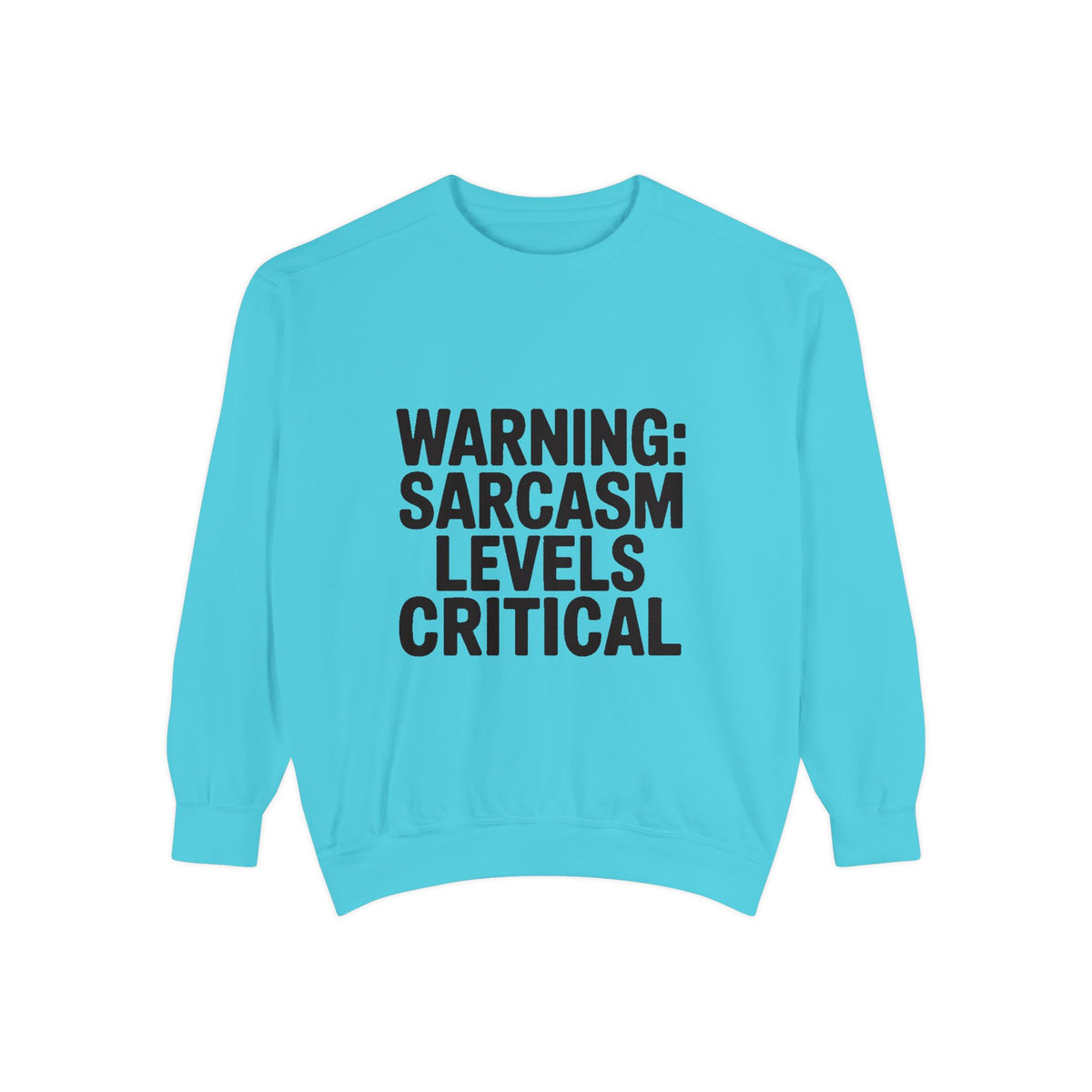 Warning Sarcasm Levels Critical Sweatshirt, Funny Embroidered Crewneck, Sarcastic Quote Pullover, Gift for Sarcastic Friend