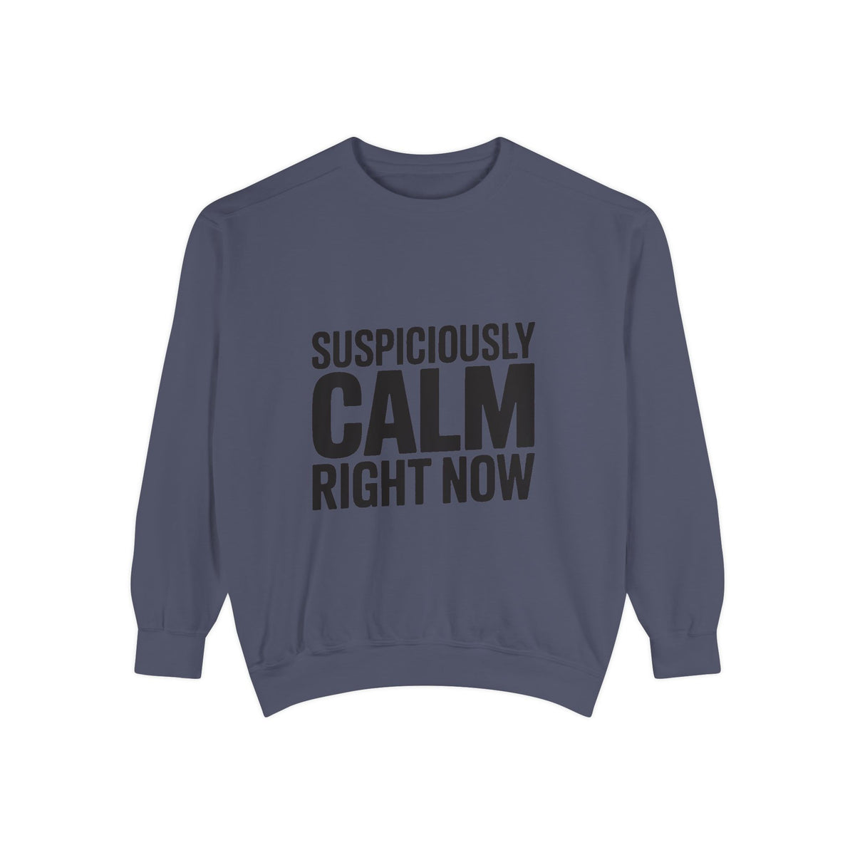 Suspiciously Calm Right Now Sweatshirt, Funny Sarcastic Crewneck, Bold Text Embroidered Patch Style Pullover, Sarcasm Gift