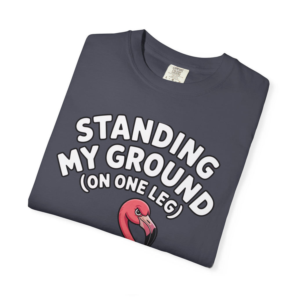 Standing My Ground Flamingo Shirt, Funny One Leg Flamingo T-Shirt, Sassy Bird Lover Gift, Cute Cartoon Flamingo Tee