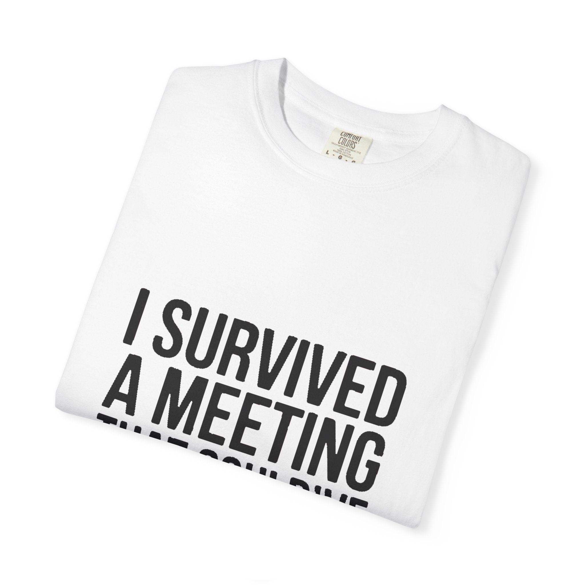 I Survived A Meeting That Could've Been An Email Shirt, Funny Office T-Shirt, Sarcastic Coworker Gift, Corporate Humor Tee