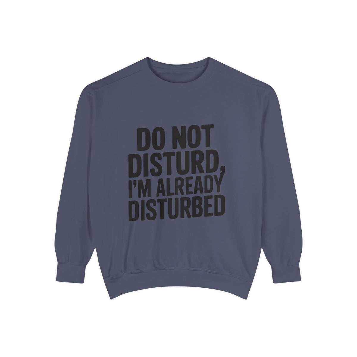 Do Not Disturb Already Disturbed Sweatshirt, Funny Sarcastic Crewneck, Embroidered Patch Style Pullover, Introvert Gift