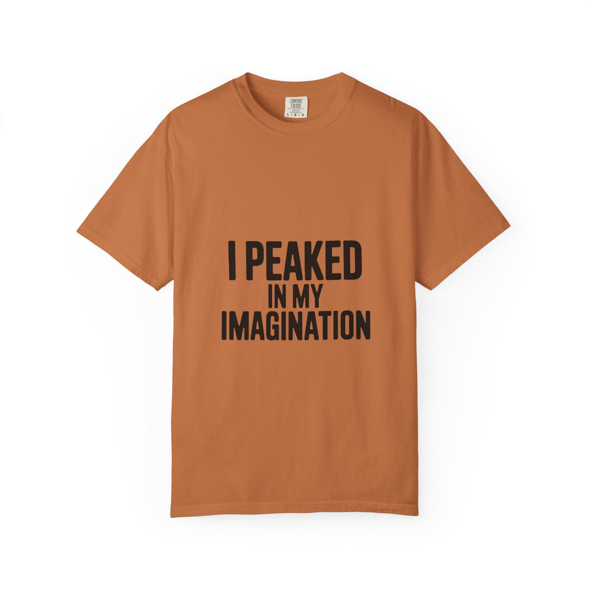 I Peaked In My Imagination Shirt, Funny Sarcastic T-Shirt, Bold Typography Tee, Daydreamer Gift, Minimalist Statement Shirt