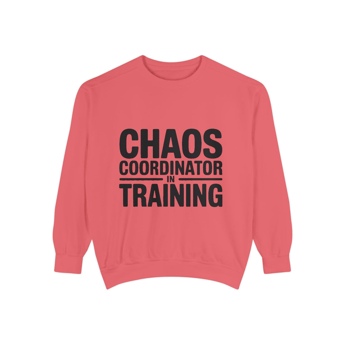 Chaos Coordinator In Training Sweatshirt, Funny Mom Crewneck, Embroidered Style Bold Text Sweatshirt, Teacher Nurse Gift