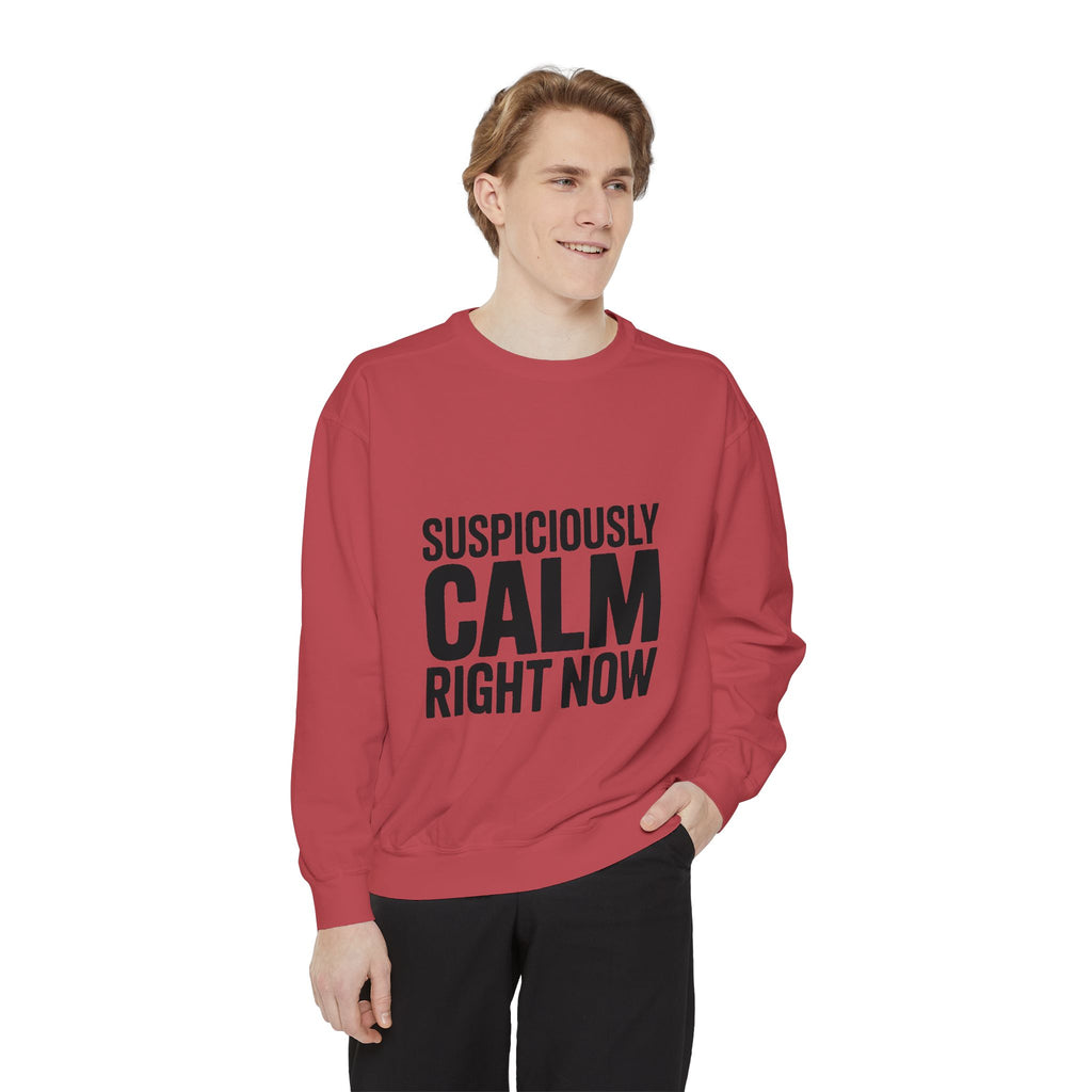 Suspiciously Calm Right Now Sweatshirt, Funny Sarcastic Crewneck, Bold Text Embroidered Patch Style Pullover, Sarcasm Gift