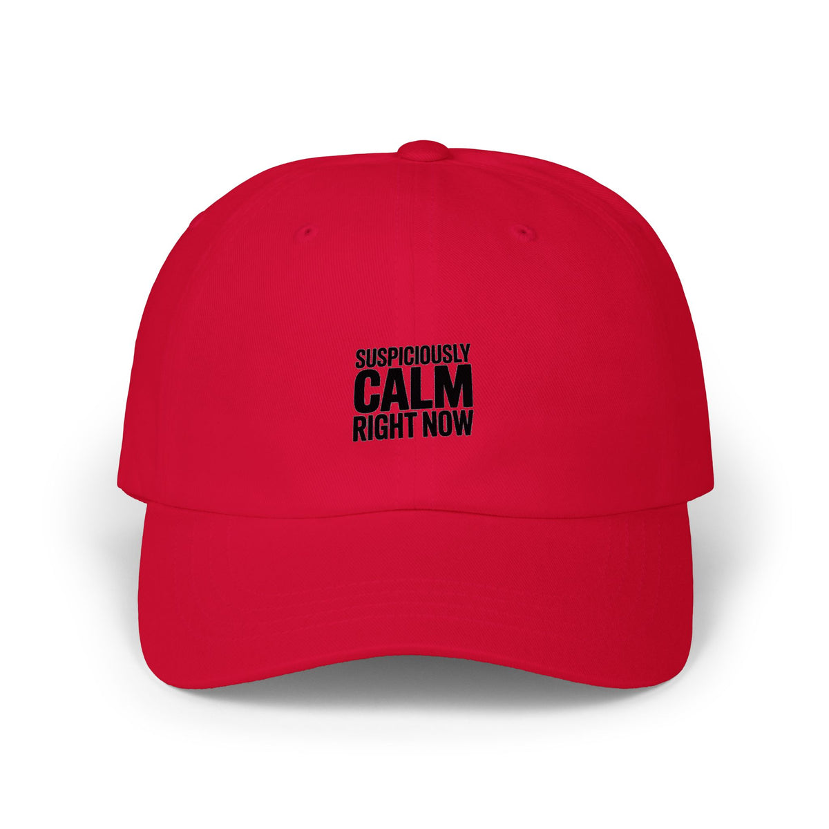 Suspiciously Calm Right Now Dad Hat, Funny Sarcastic Embroidered Cap, Minimalist Text Baseball Hat, Funny Gift for Him or Her