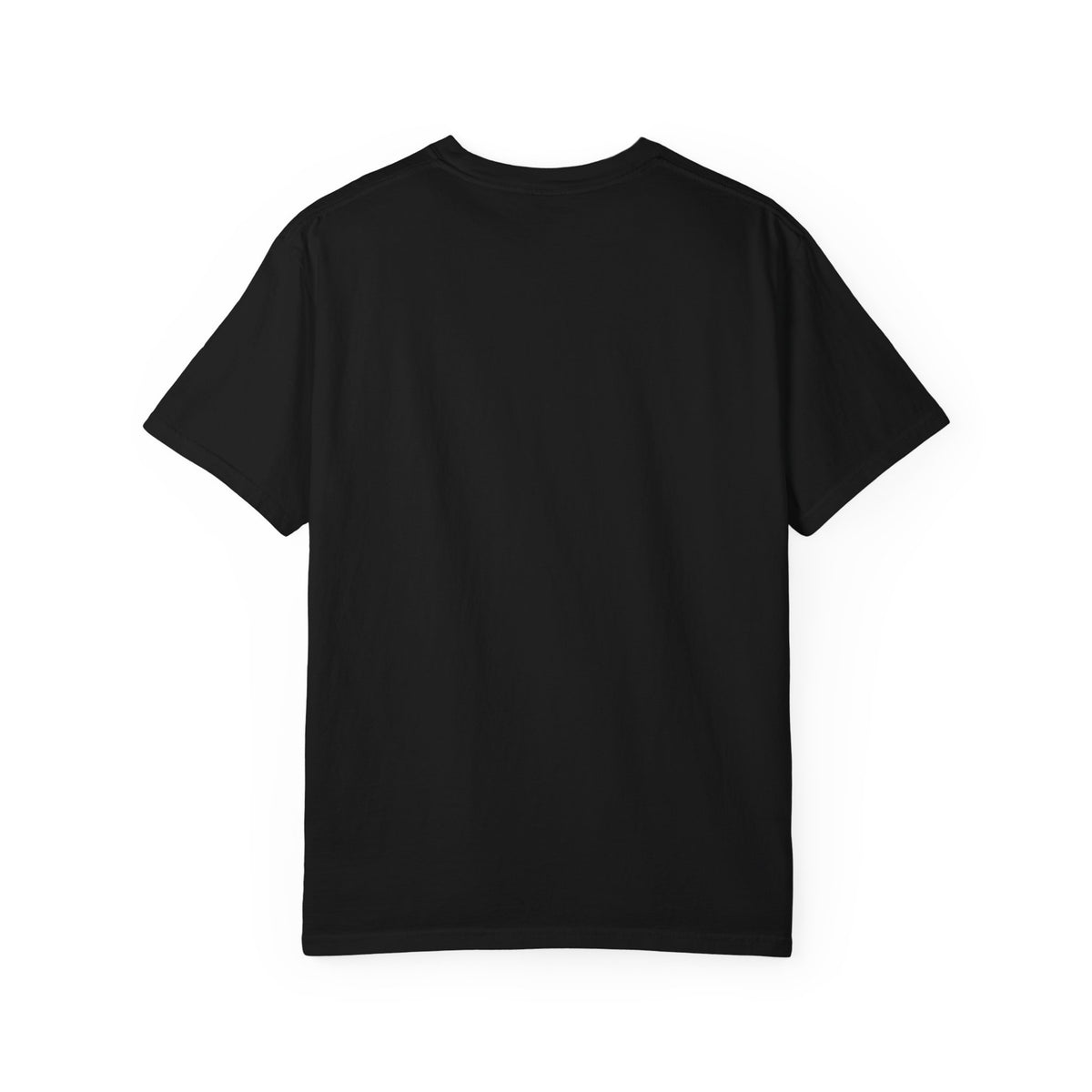 Not A Morning Person Shirt, Funny Sarcastic T-Shirt, Not An Afternoon Person Either Tee, Anti Social Gift