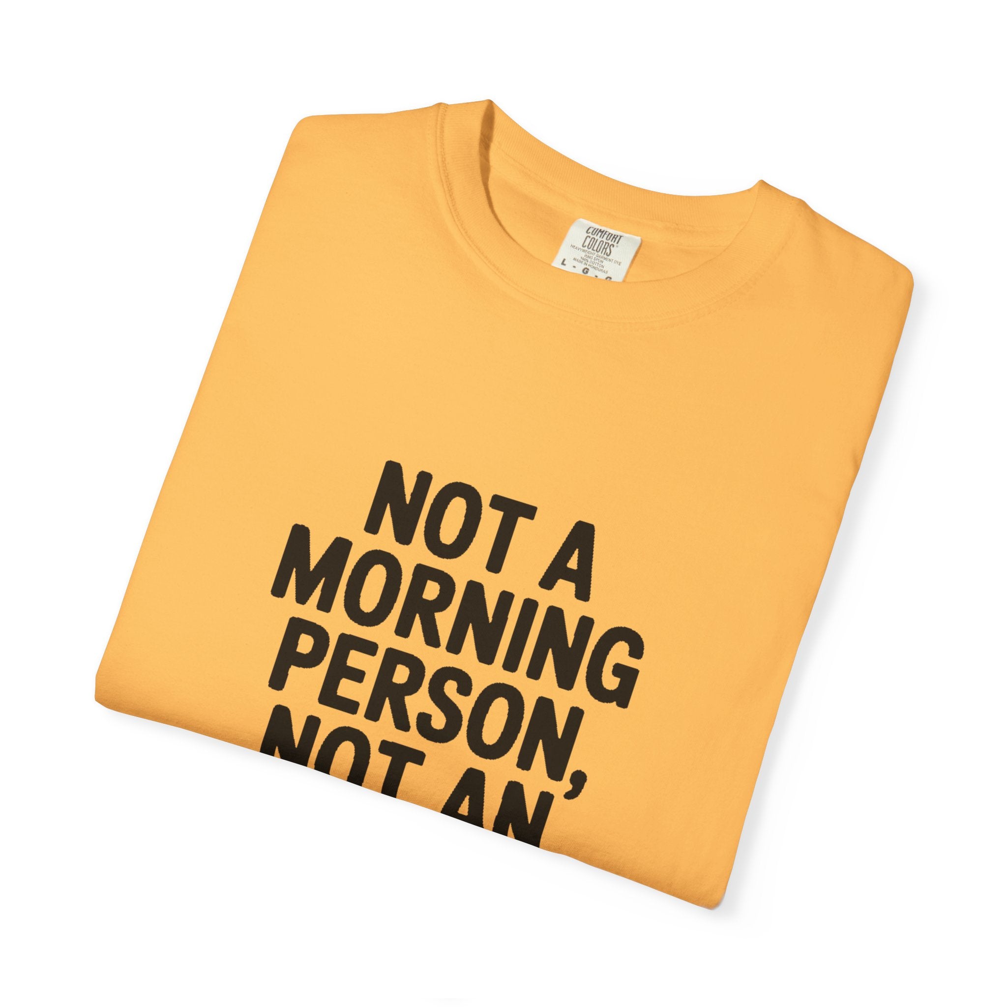 Not A Morning Person Shirt, Funny Sarcastic T-Shirt, Not An Afternoon Person Either Tee, Anti Social Gift