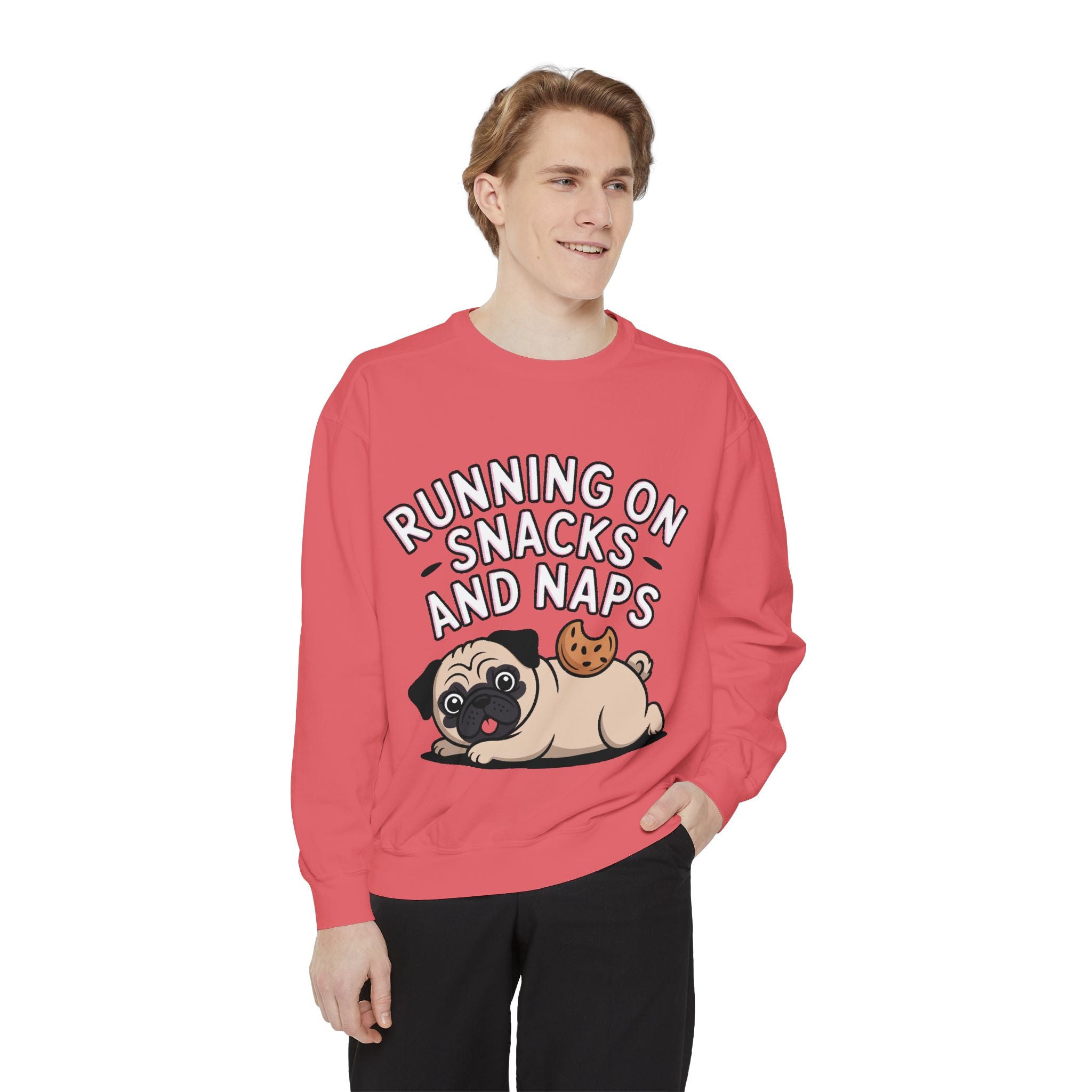 Pug Sweatshirt, Funny Running On Snacks And Naps Crewneck, Cute Pug Lover Gift, Embroidered Patch Style Dog Sweater