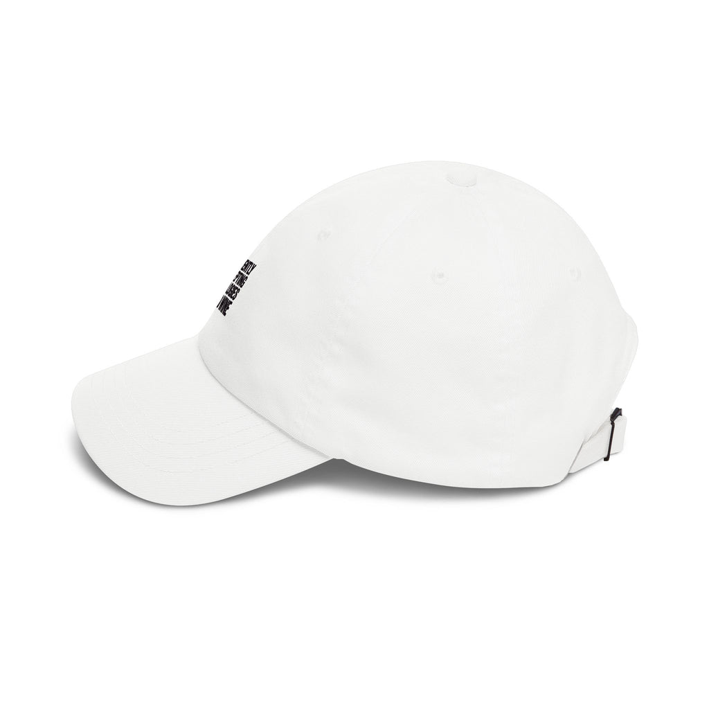 Currently Accepting Apologies And Wine Dad Hat, Funny Embroidered Cap, Sarcastic Wine Lover Gift, Bold Text Baseball Cap