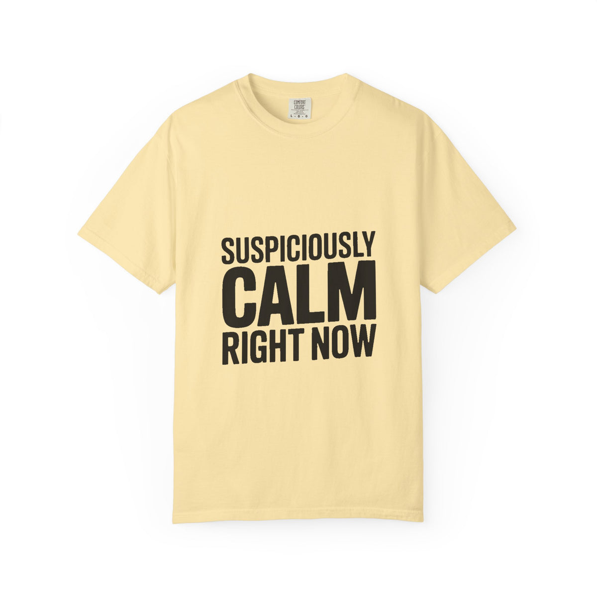Suspiciously Calm Right Now Shirt, Funny Sarcastic T-Shirt, Bold Typography Tee, Anxiety Humor Shirt, Sarcastic Gift for Him Her