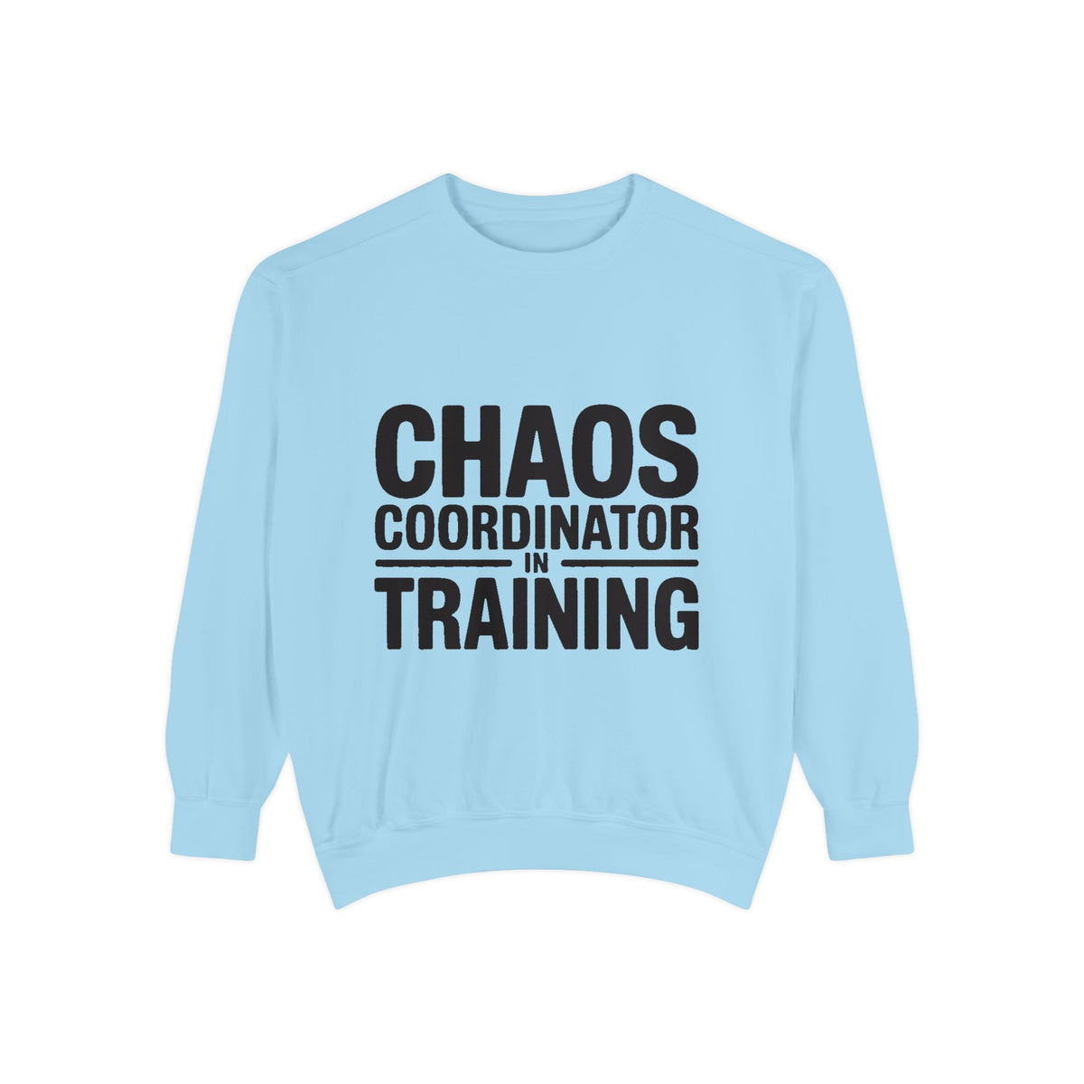 Chaos Coordinator In Training Sweatshirt, Funny Mom Crewneck, Embroidered Style Bold Text Sweatshirt, Teacher Nurse Gift