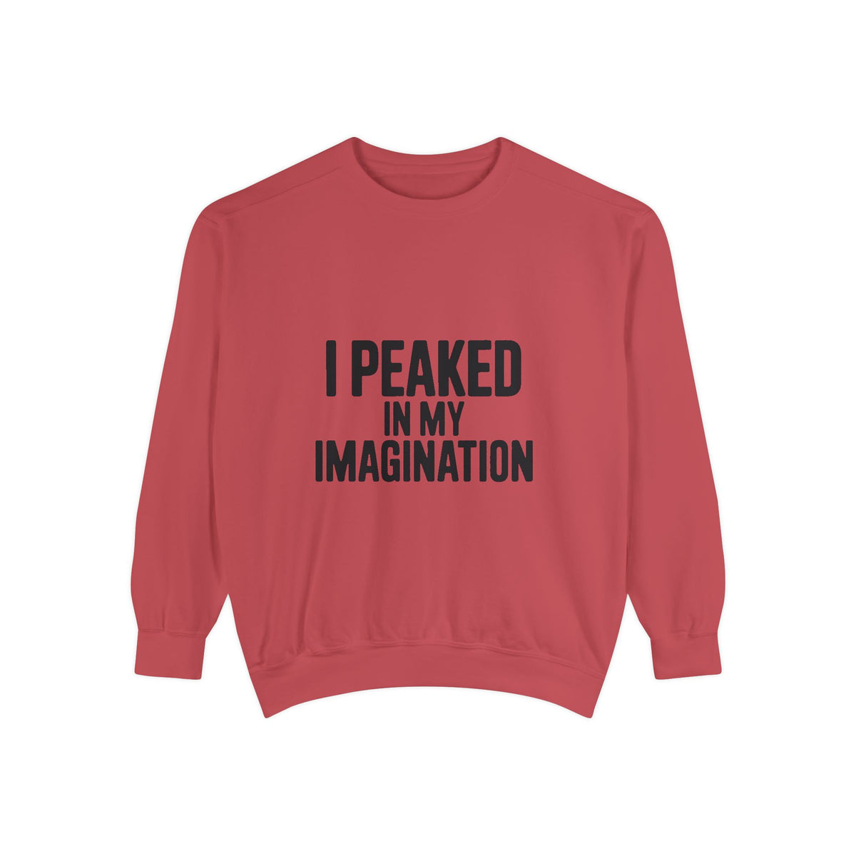 I Peaked In My Imagination Sweatshirt, Funny Sarcastic Crewneck, Bold Typography Embroidered Sweatshirt, Daydreamer Gift