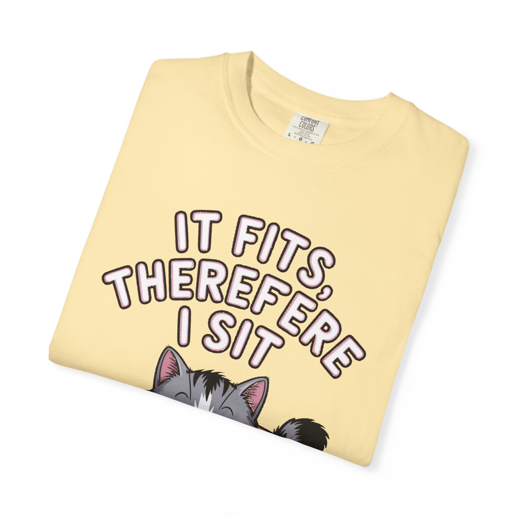 It Fits Therefore I Sit Cat Shirt, Funny Cat In Box T-Shirt, Cute Chubby Cat Lover Gift, Cat Owner Shirt, Funny Cat Meme Tee