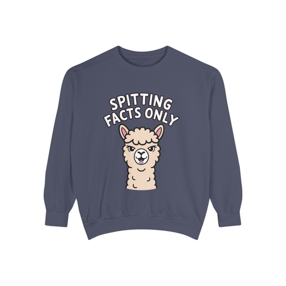 Alpaca Spitting Facts Sweatshirt, Funny Sassy Alpaca Crewneck, Cute Embroidered-Style Animal Sweatshirt, Alpaca Lover Gift
