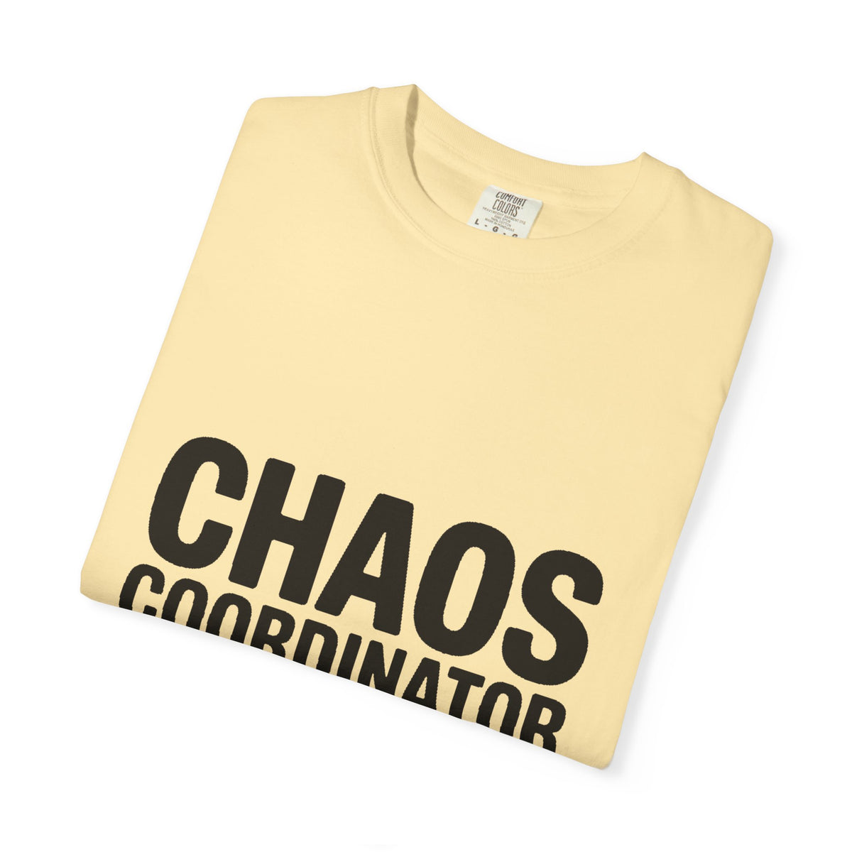Chaos Coordinator In Training Shirt, Funny Bold Typography Tee, Sarcastic Mom Life T-Shirt, Gift for New Parents or Teachers