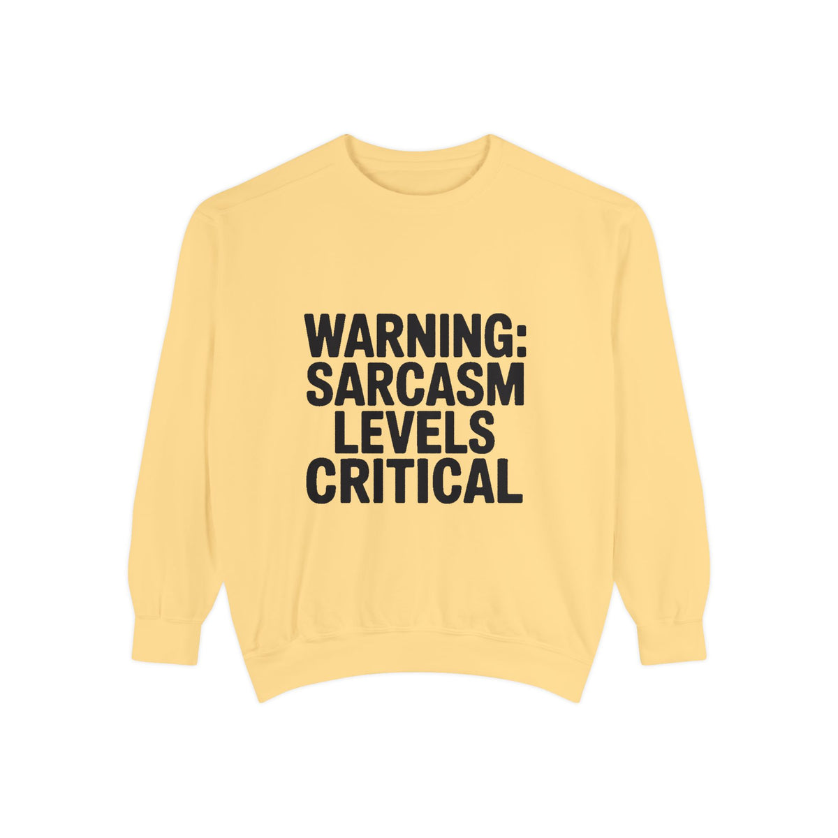 Warning Sarcasm Levels Critical Sweatshirt, Funny Embroidered Crewneck, Sarcastic Quote Pullover, Gift for Sarcastic Friend