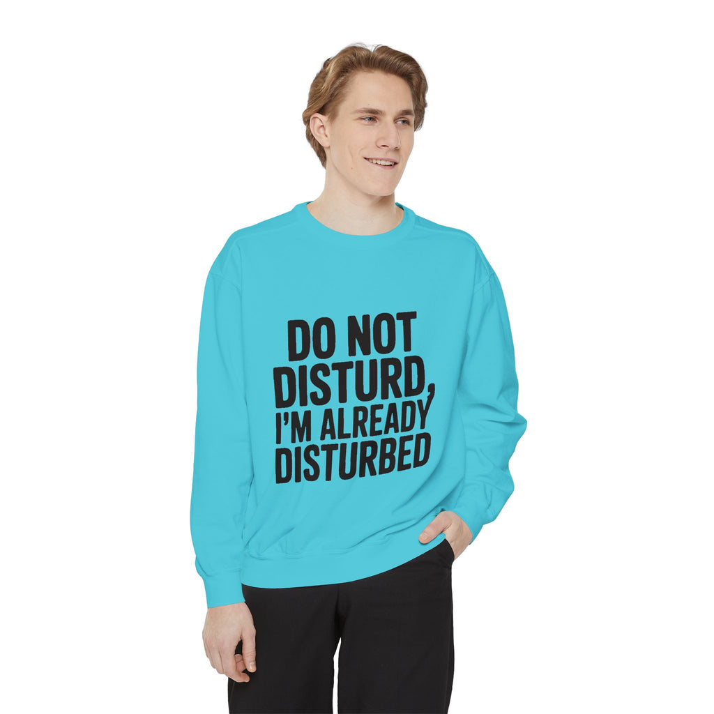 Do Not Disturb Already Disturbed Sweatshirt, Funny Sarcastic Crewneck, Embroidered Patch Style Pullover, Introvert Gift