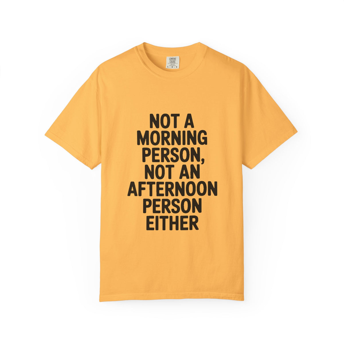 Not A Morning Person Shirt, Funny Sarcastic T-Shirt, Not An Afternoon Person Either Tee, Anti Social Gift