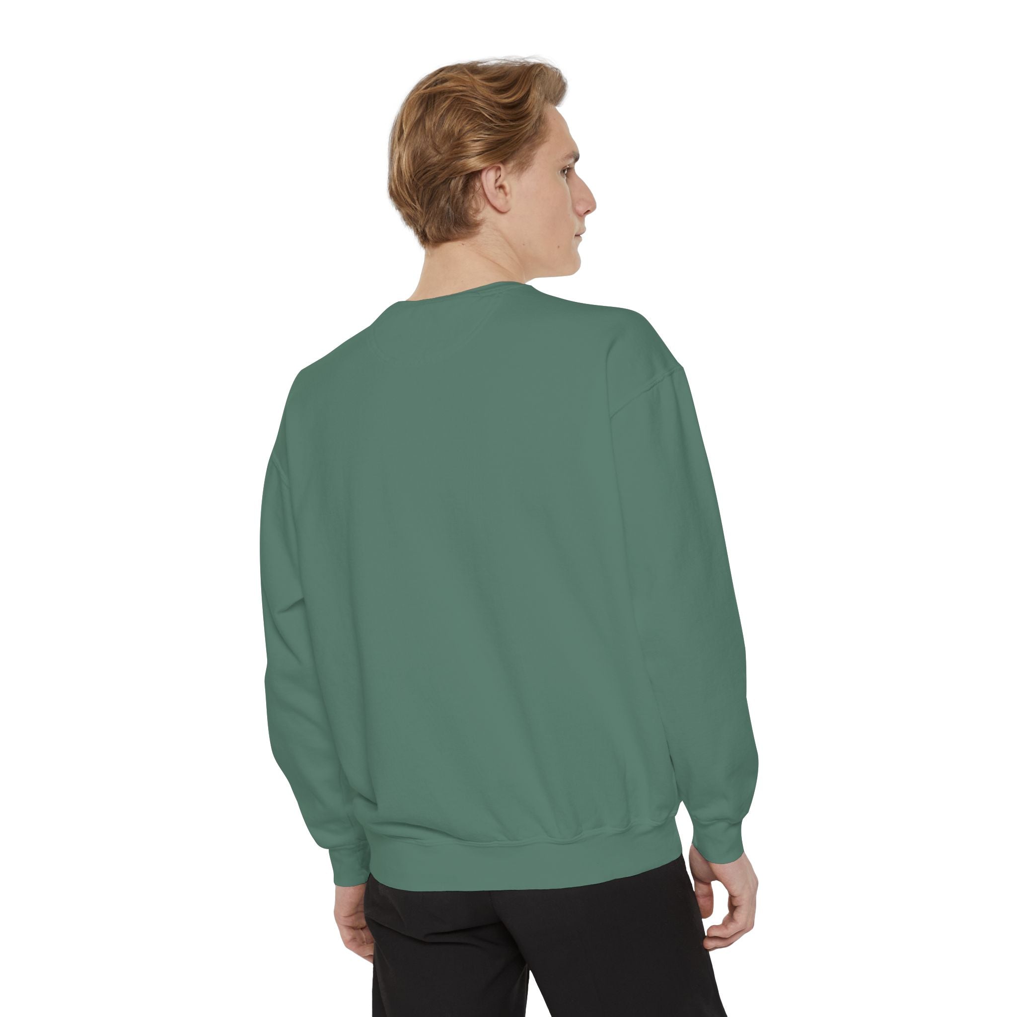 Funny Pigeon Sweatshirt, Board Meeting Of Doom Crewneck, Office Humor Bird Gift, Funny Coworker Sweater