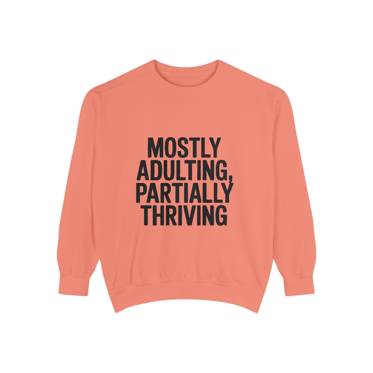 Mostly Adulting Partially Thriving Sweatshirt, Funny Embroidered Crewneck, Sarcastic Adult Life Sweatshirt, Trendy Minimalist Gift