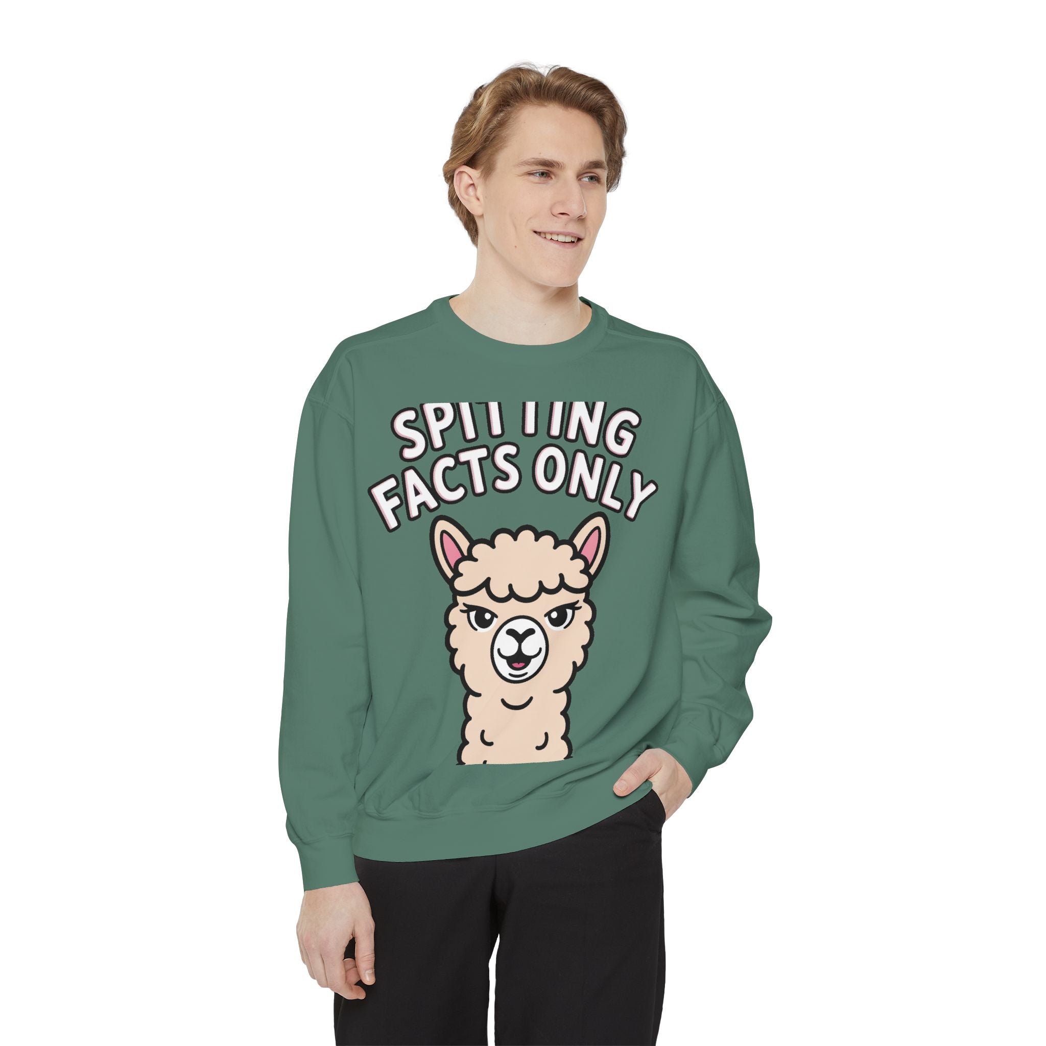 Alpaca Spitting Facts Sweatshirt, Funny Sassy Alpaca Crewneck, Cute Embroidered-Style Animal Sweatshirt, Alpaca Lover Gift