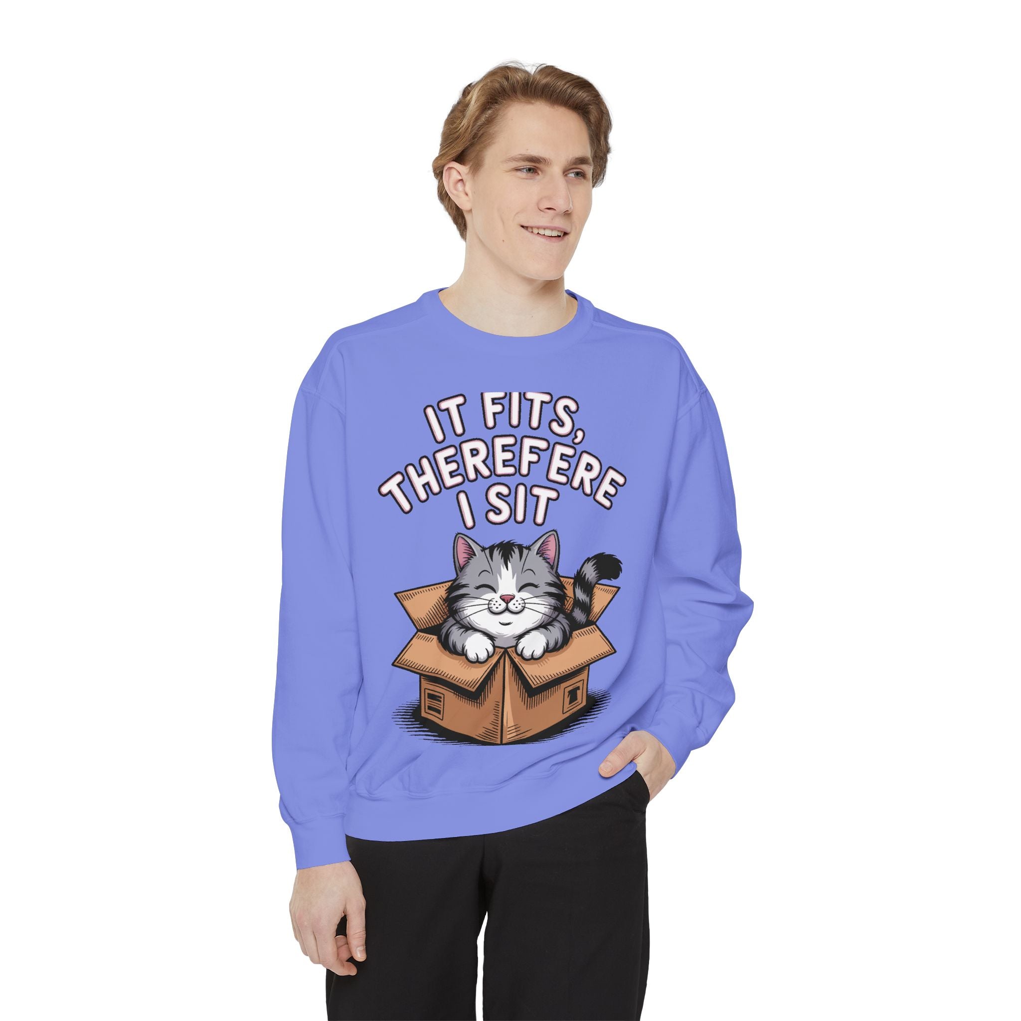 Funny Cat Sweatshirt, It Fits Therefore I Sit Crewneck, Cat In Box Embroidered Sweatshirt, Cat Lover Gift, Funny Cat Lover Sweater