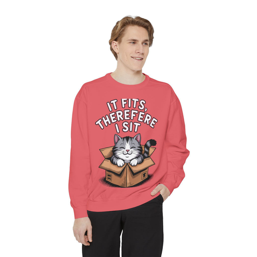 Funny Cat Sweatshirt, It Fits Therefore I Sit Crewneck, Cat In Box Embroidered Sweatshirt, Cat Lover Gift, Funny Cat Lover Sweater