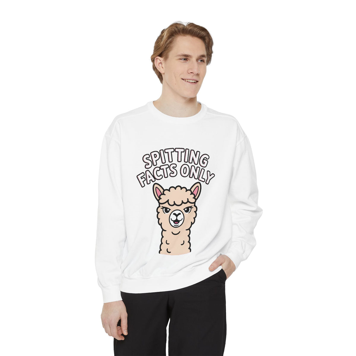 Alpaca Spitting Facts Sweatshirt, Funny Sassy Alpaca Crewneck, Cute Embroidered-Style Animal Sweatshirt, Alpaca Lover Gift