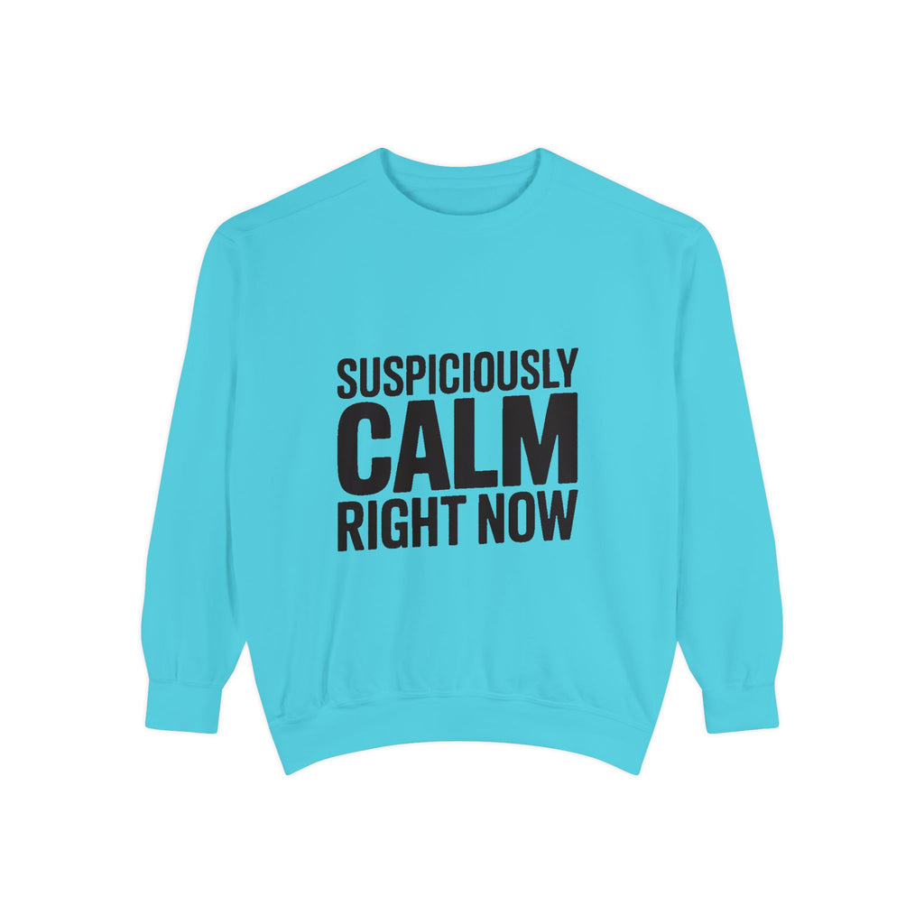Suspiciously Calm Right Now Sweatshirt, Funny Sarcastic Crewneck, Bold Text Embroidered Patch Style Pullover, Sarcasm Gift