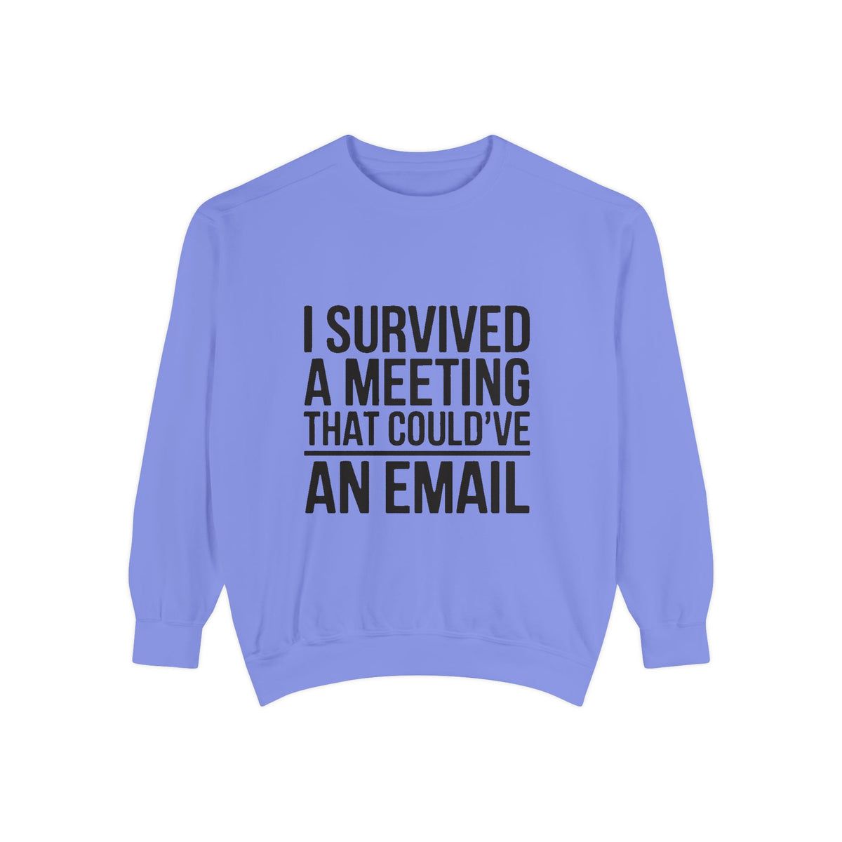 I Survived A Meeting That Could've Been An Email Sweatshirt, Funny Office Crewneck, Sarcastic Coworker Gift, Corporate Humor Sweater