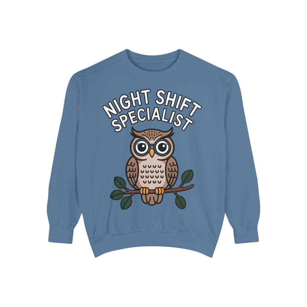 Night Shift Owl Sweatshirt, Funny Night Owl Crewneck, Night Shift Specialist Gift, Cute Bird Lover Sweatshirt, Nurse Gift