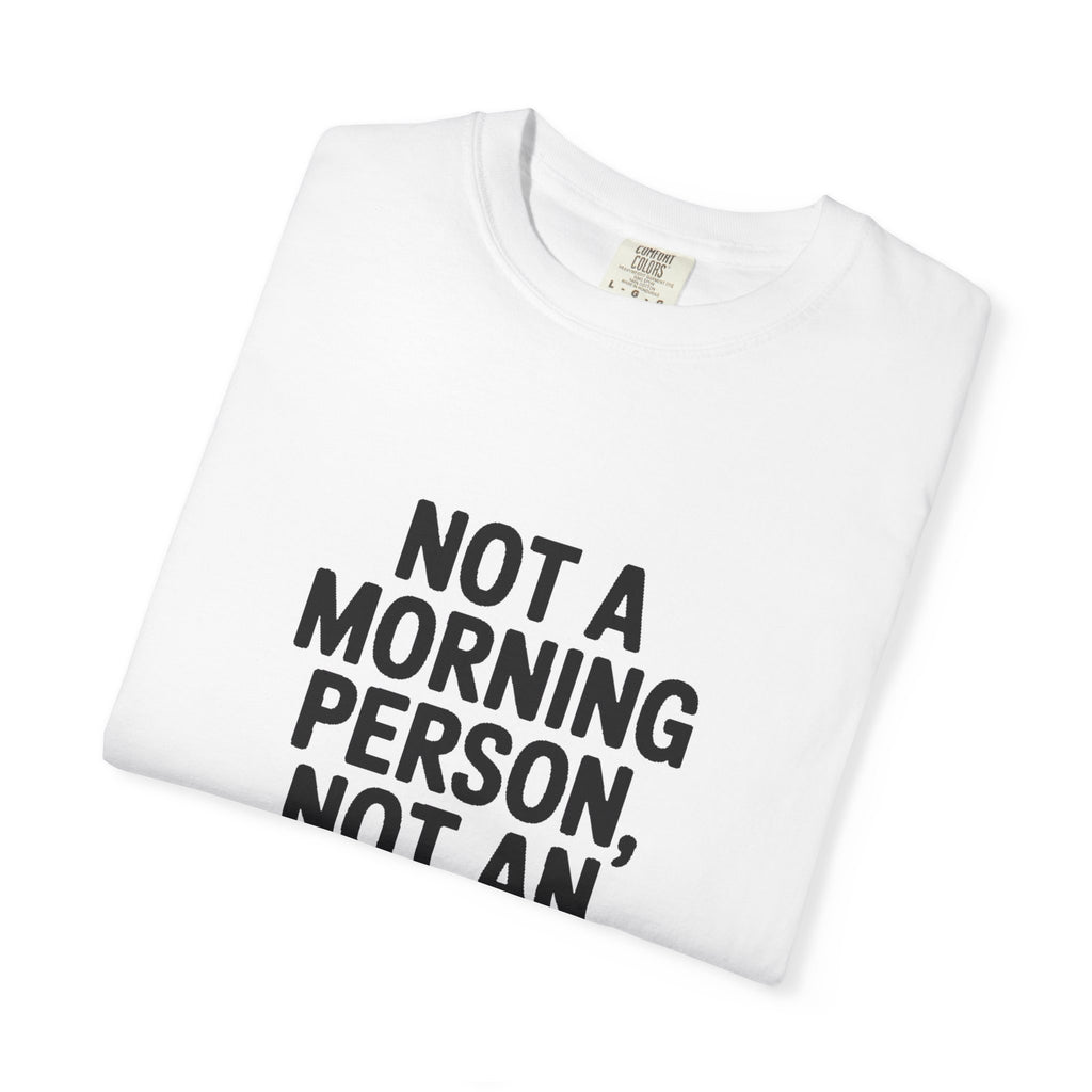 Not A Morning Person Shirt, Funny Sarcastic T-Shirt, Not An Afternoon Person Either Tee, Anti Social Gift