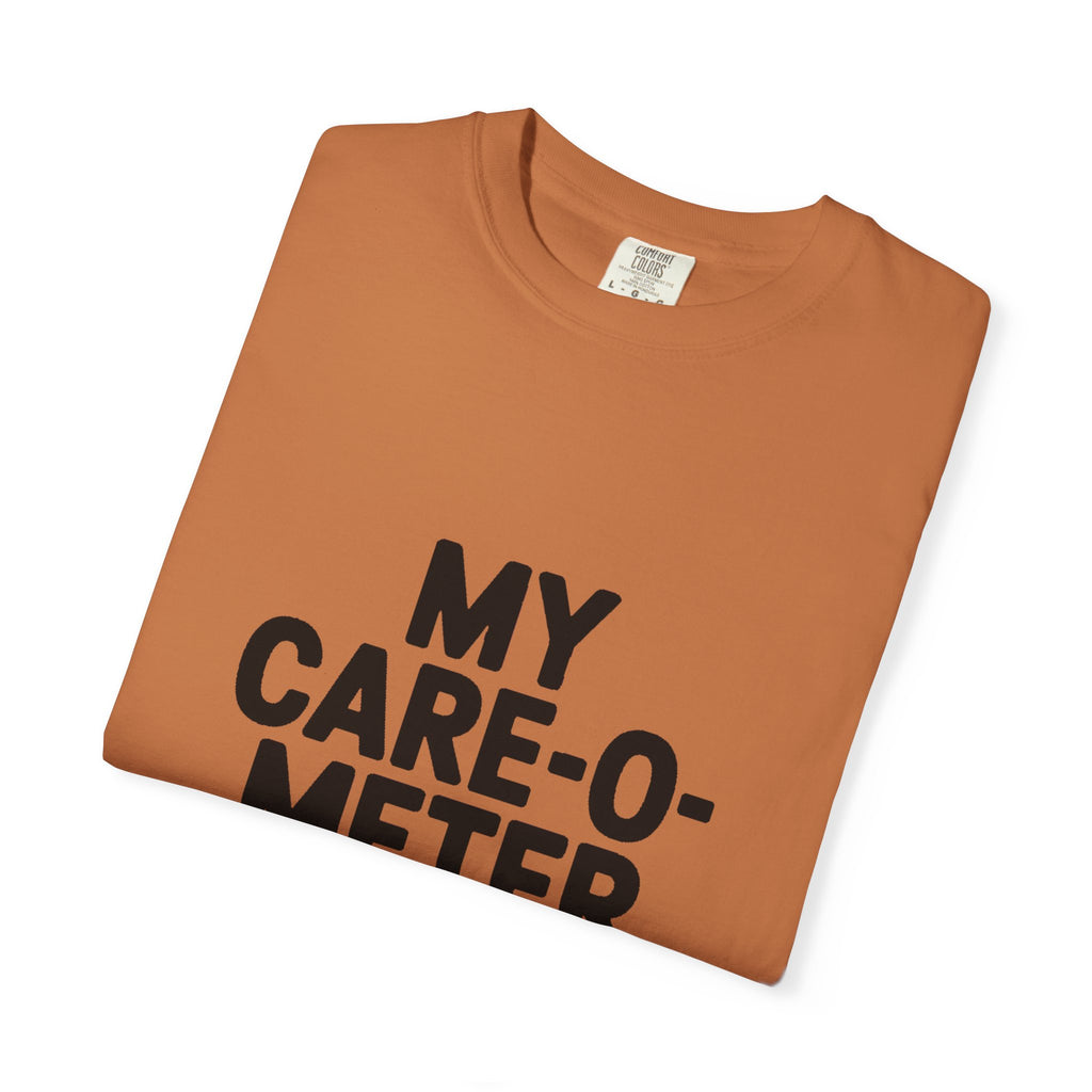 My Care-O-Meter Is Broken Shirt, Funny Sarcastic T-Shirt, Bold Typography Tee, Sarcastic Gift for Him Her, Deadpan Humor Shirt