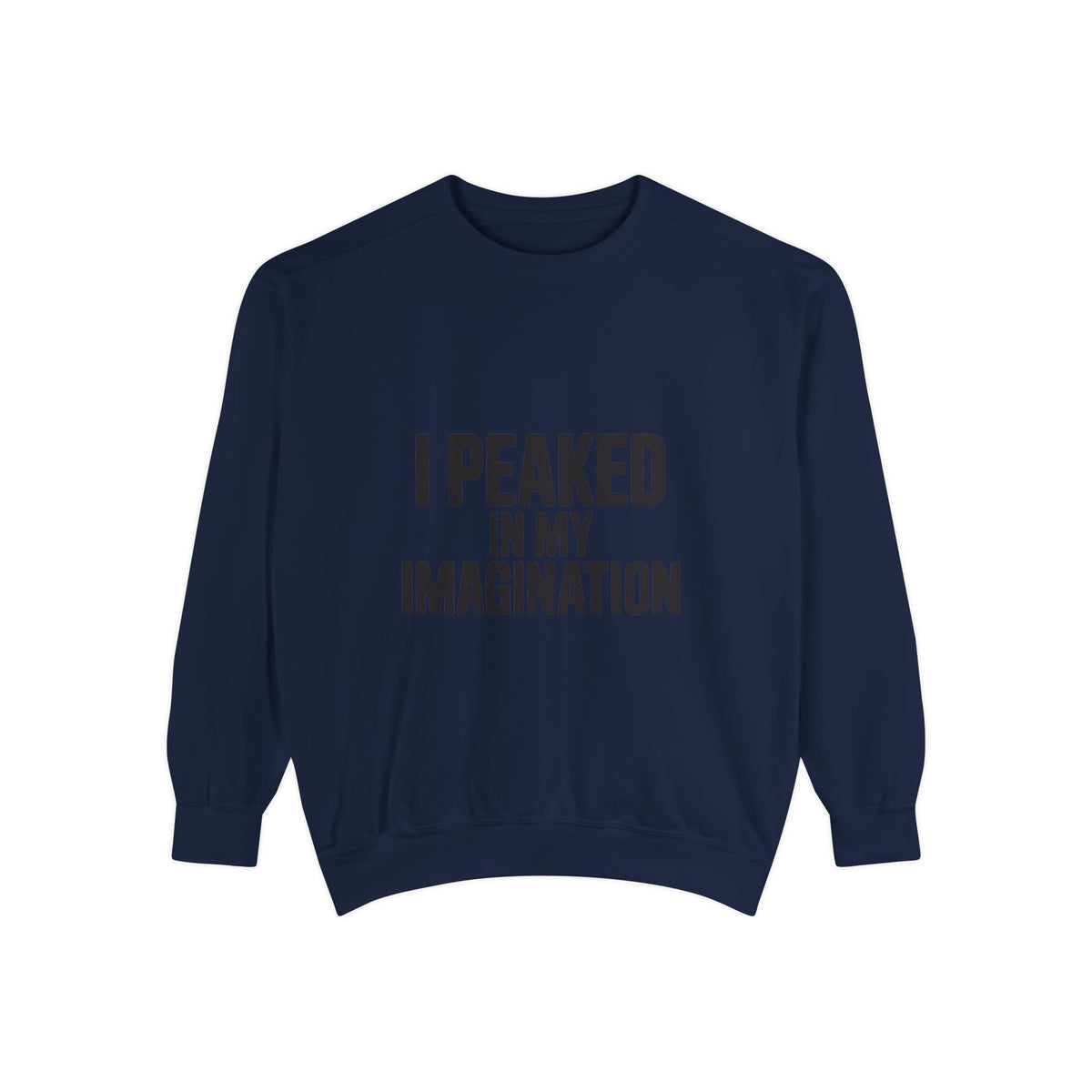 I Peaked In My Imagination Sweatshirt, Funny Sarcastic Crewneck, Bold Typography Embroidered Sweatshirt, Daydreamer Gift