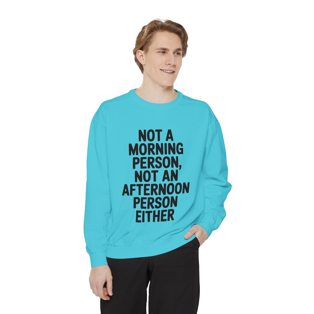 Not A Morning Person Sweatshirt, Funny Sarcastic Crewneck, Anti Morning Afternoon Person Shirt, Introvert Humor Gift