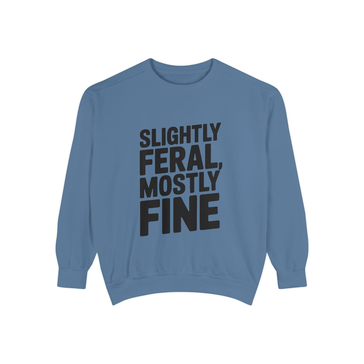 Slightly Feral Mostly Fine Sweatshirt, Funny Embroidered Crewneck, Sarcastic Quote Sweatshirt, Minimalist Text Gift for Her