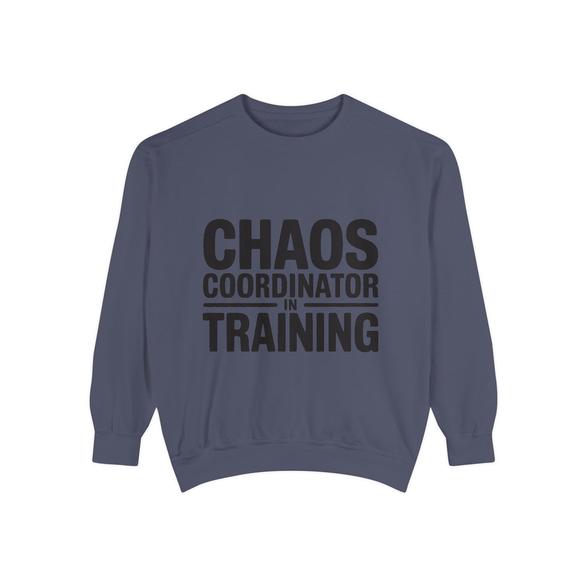 Chaos Coordinator In Training Sweatshirt, Funny Mom Crewneck, Embroidered Style Bold Text Sweatshirt, Teacher Nurse Gift
