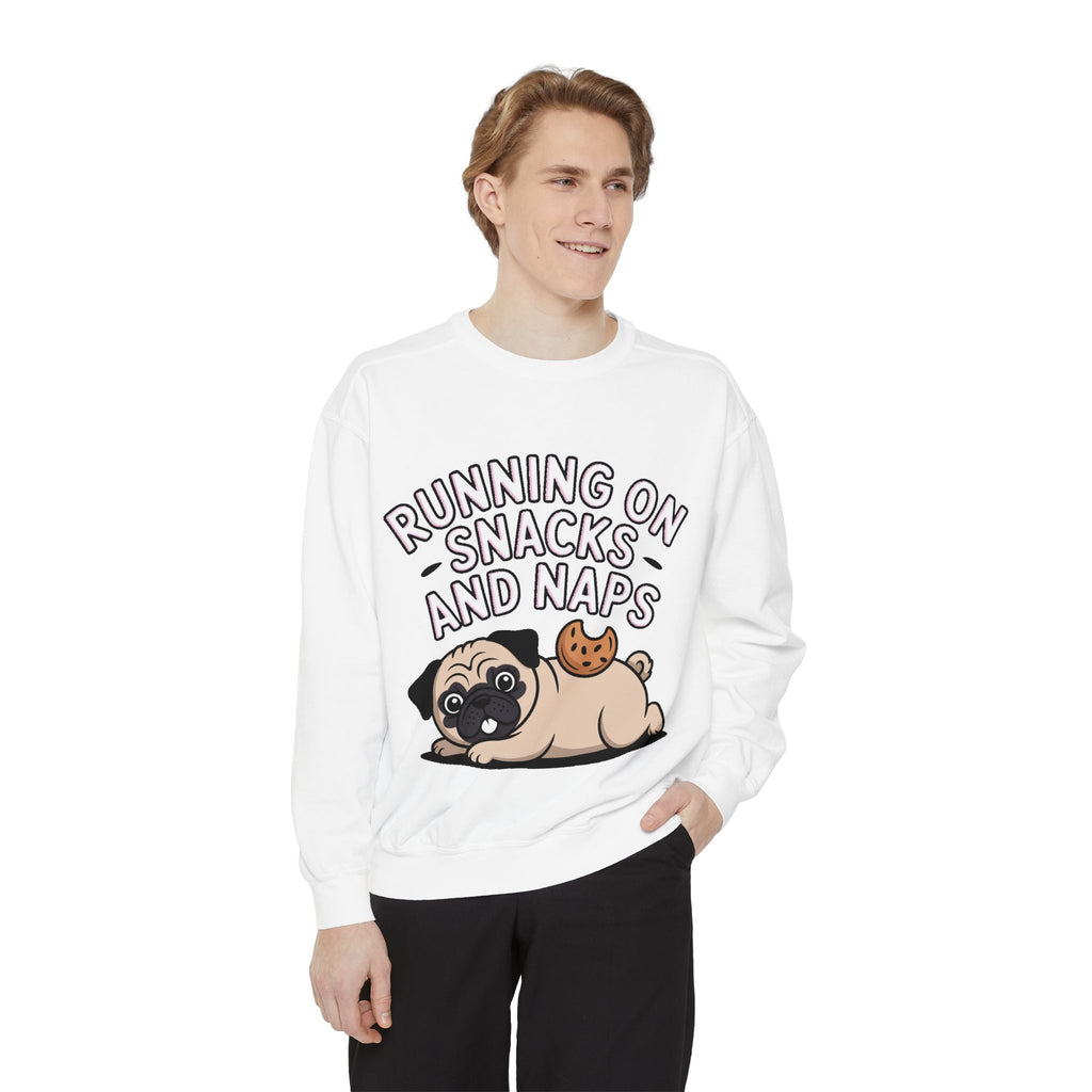 Pug Sweatshirt, Funny Running On Snacks And Naps Crewneck, Cute Pug Lover Gift, Embroidered Patch Style Dog Sweater