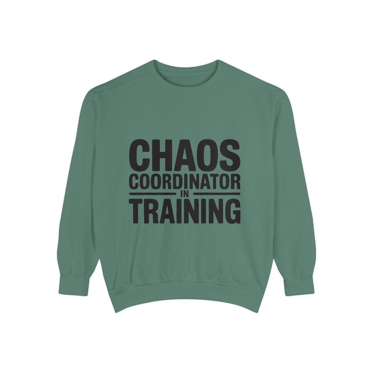 Chaos Coordinator In Training Sweatshirt, Funny Mom Crewneck, Embroidered Style Bold Text Sweatshirt, Teacher Nurse Gift