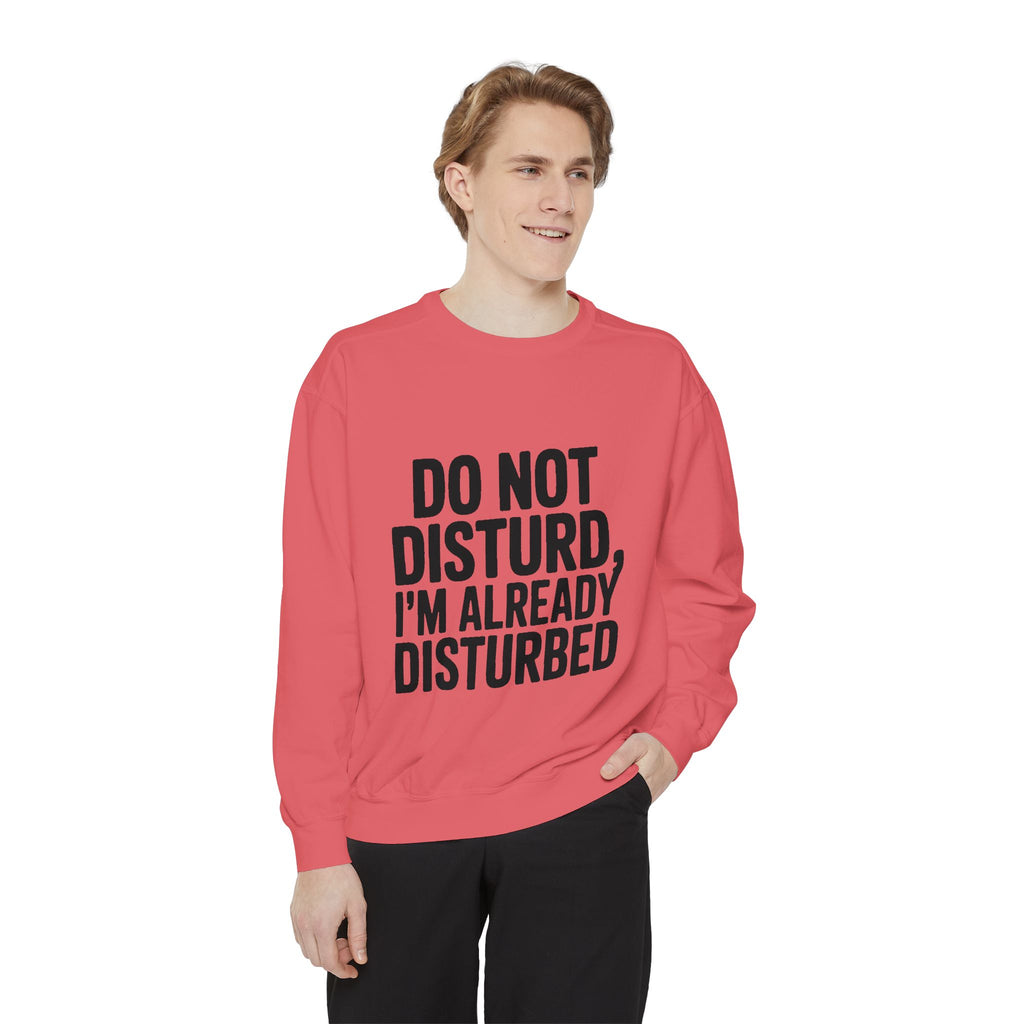 Do Not Disturb Already Disturbed Sweatshirt, Funny Sarcastic Crewneck, Embroidered Patch Style Pullover, Introvert Gift