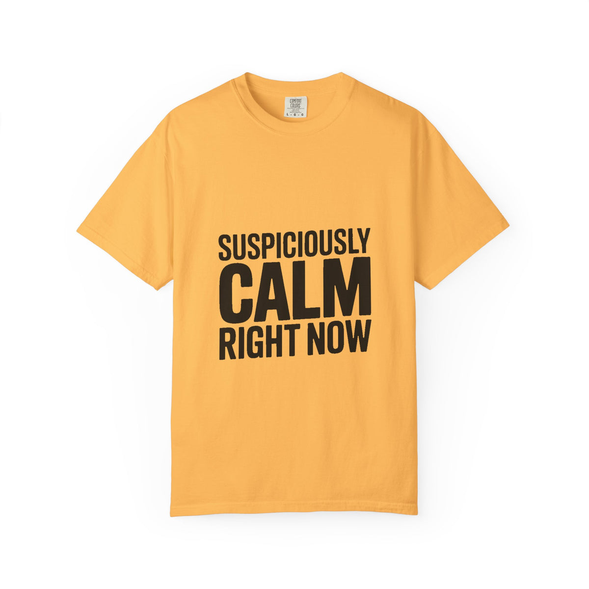 Suspiciously Calm Right Now Shirt, Funny Sarcastic T-Shirt, Bold Typography Tee, Anxiety Humor Shirt, Sarcastic Gift for Him Her