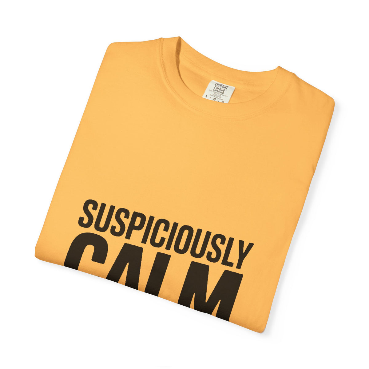 Suspiciously Calm Right Now Shirt, Funny Sarcastic T-Shirt, Bold Typography Tee, Anxiety Humor Shirt, Sarcastic Gift for Him Her