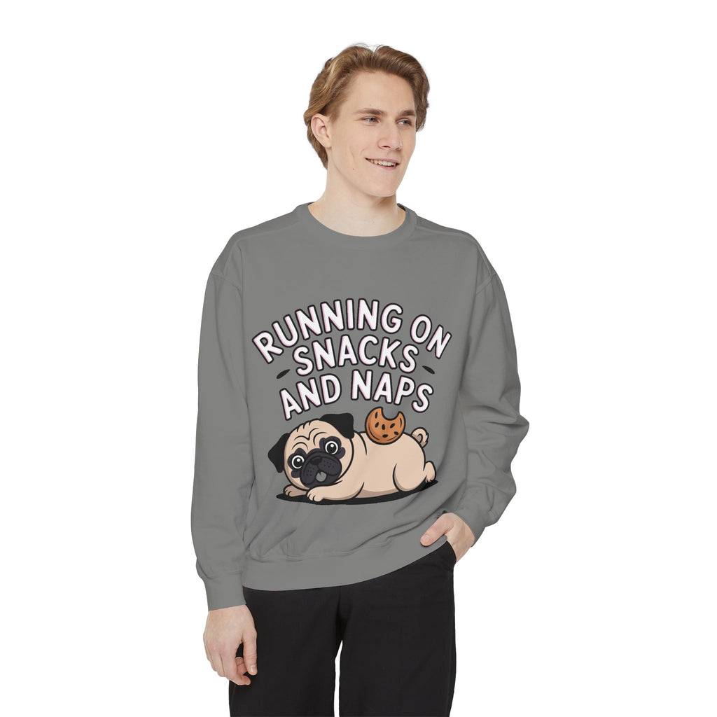 Pug Sweatshirt, Funny Running On Snacks And Naps Crewneck, Cute Pug Lover Gift, Embroidered Patch Style Dog Sweater