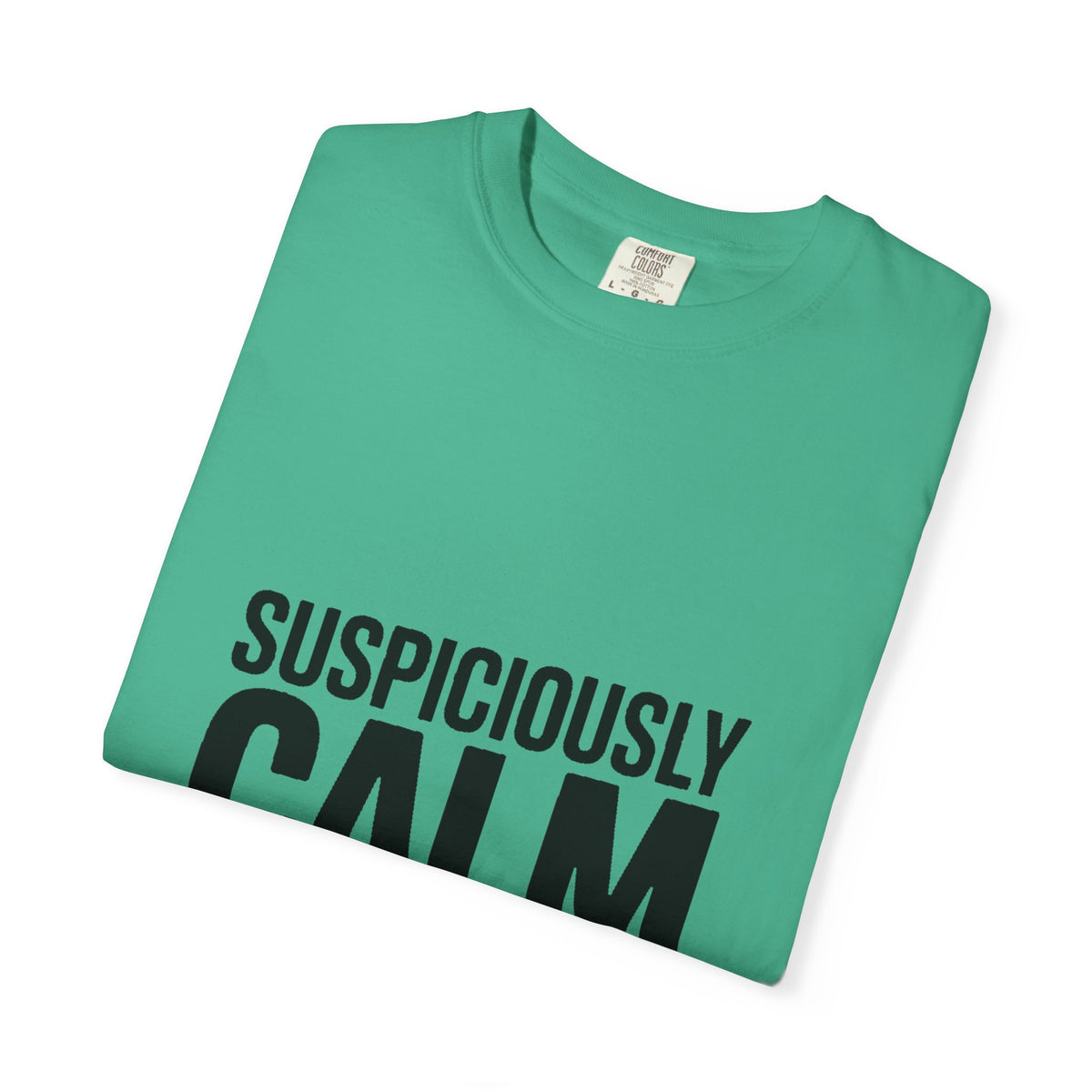 Suspiciously Calm Right Now Shirt, Funny Sarcastic T-Shirt, Bold Typography Tee, Anxiety Humor Shirt, Sarcastic Gift for Him Her