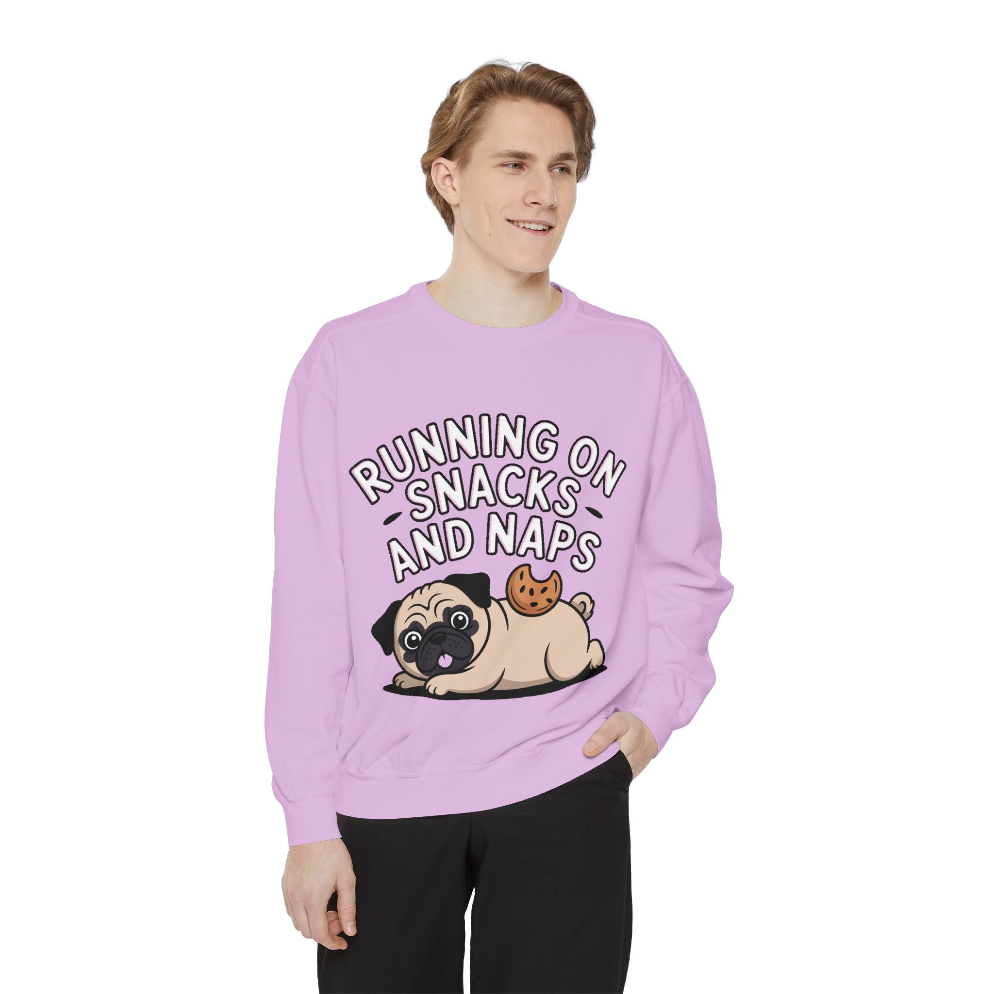 Pug Sweatshirt, Funny Running On Snacks And Naps Crewneck, Cute Pug Lover Gift, Embroidered Patch Style Dog Sweater